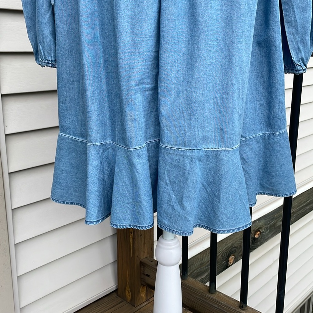 Cute Denim Dress by Express - Picture 10 of 16